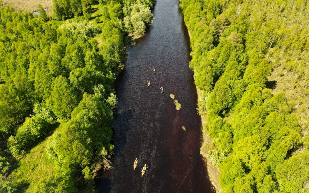 Our Summer Travel Tip: Full-day Adventure to Rovaniemi by Canoe