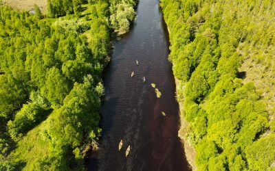 Our Summer Travel Tip: Full-day Adventure to Rovaniemi by Canoe