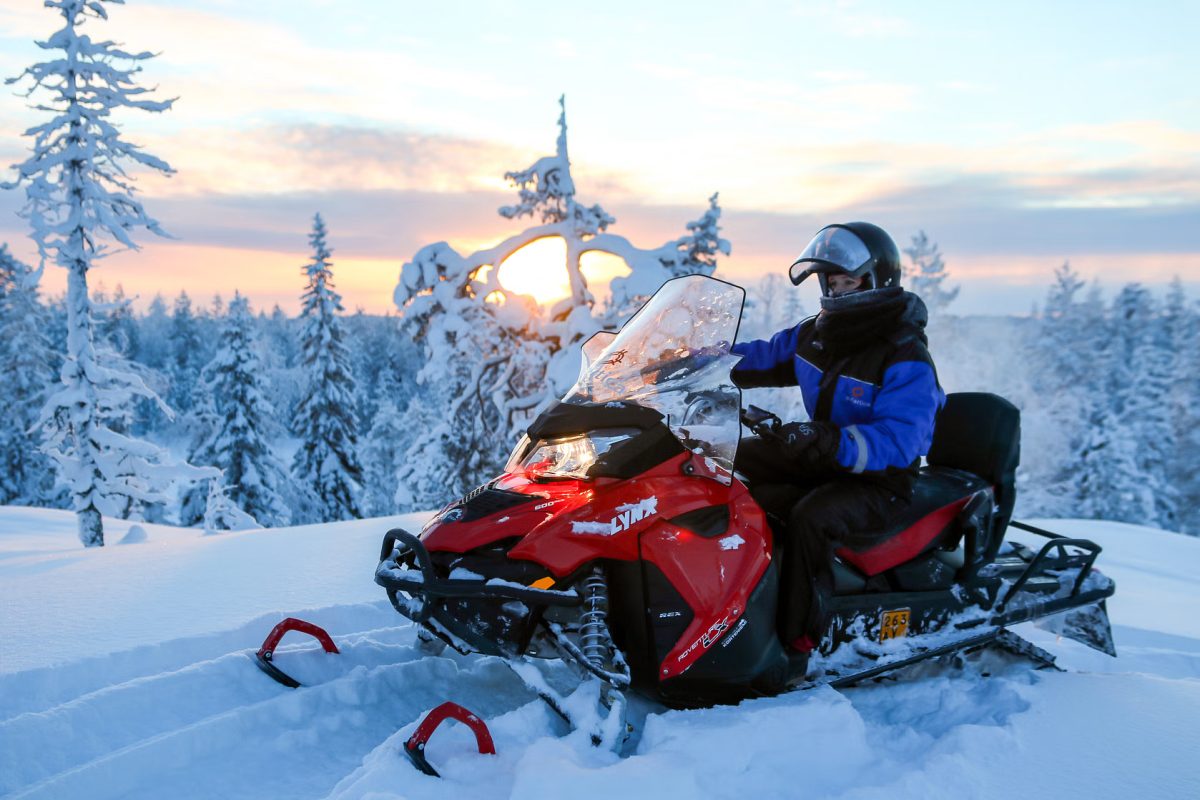 Easy Snowmobile Safari into the Nature