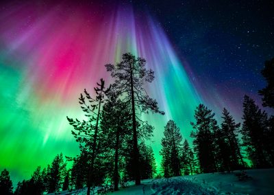 Northern Lights in Rovaniemi