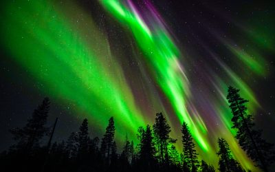 Story from the Arctic Circle: Crazy Night Full of the Northern Lights