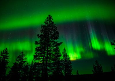 Northern Lights Wilderness Tour