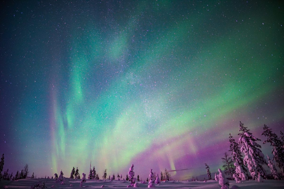 Northern Lights Snowmobile Sledge Ride
