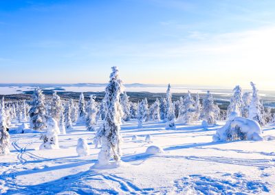 Riisitunturi National Park in winter