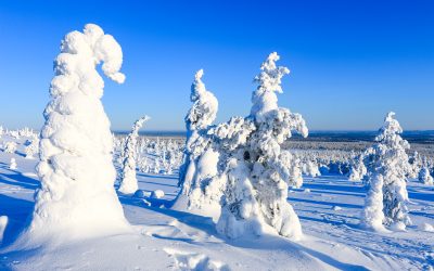 Lapland Roadtrip: A magical winter day in Riisitunturi National Park