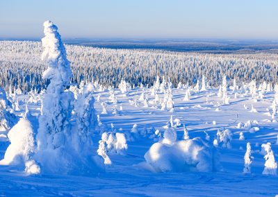Riisitunturi National Park in winter