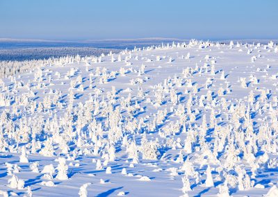 Stunning views in the middle of Arctic wilderness