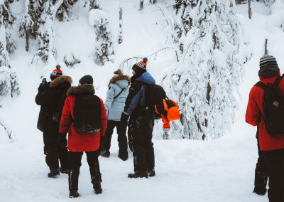 Exploring Korouoma Canyon in small groups