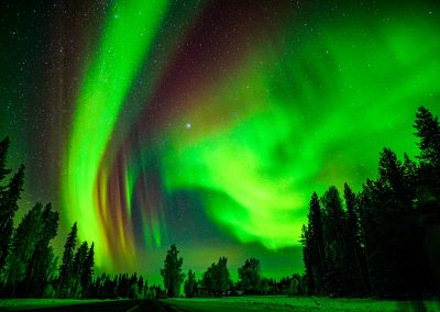 Northern Lights Hunting Adventure in Rovaniemi