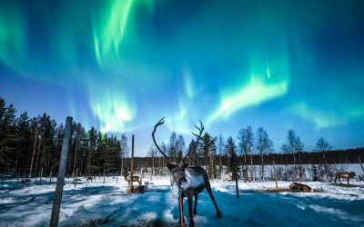 Lapland Holiday – Discover the Spirit of Finnish Lapland