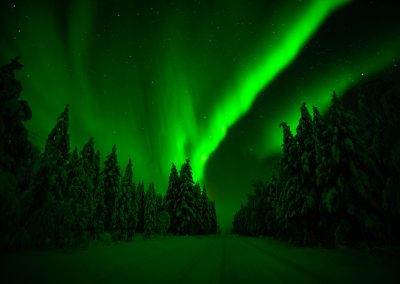 Magical Aurora Borealis in Rovaniemi