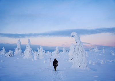 Magical Frozen Forests of Riisitunturi