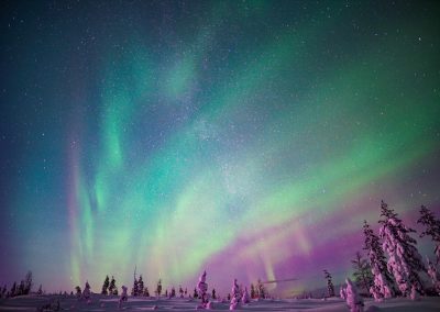 Northern Lights in Rovaniemi
