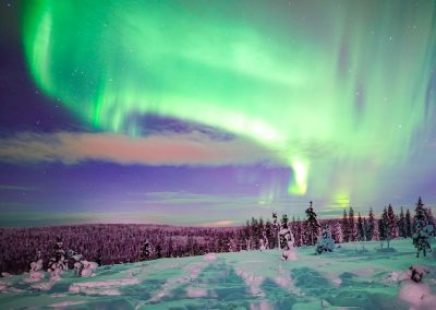 Northern Lights in Rovaniemi