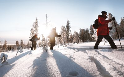 TOP 10: Unforgettable Winter Activities to Enjoy in Finnish Lapland