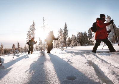 Ski Trekking in Rovaniemi