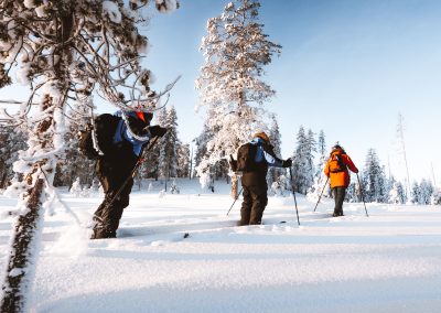 Ski Trekking in Rovaniemi