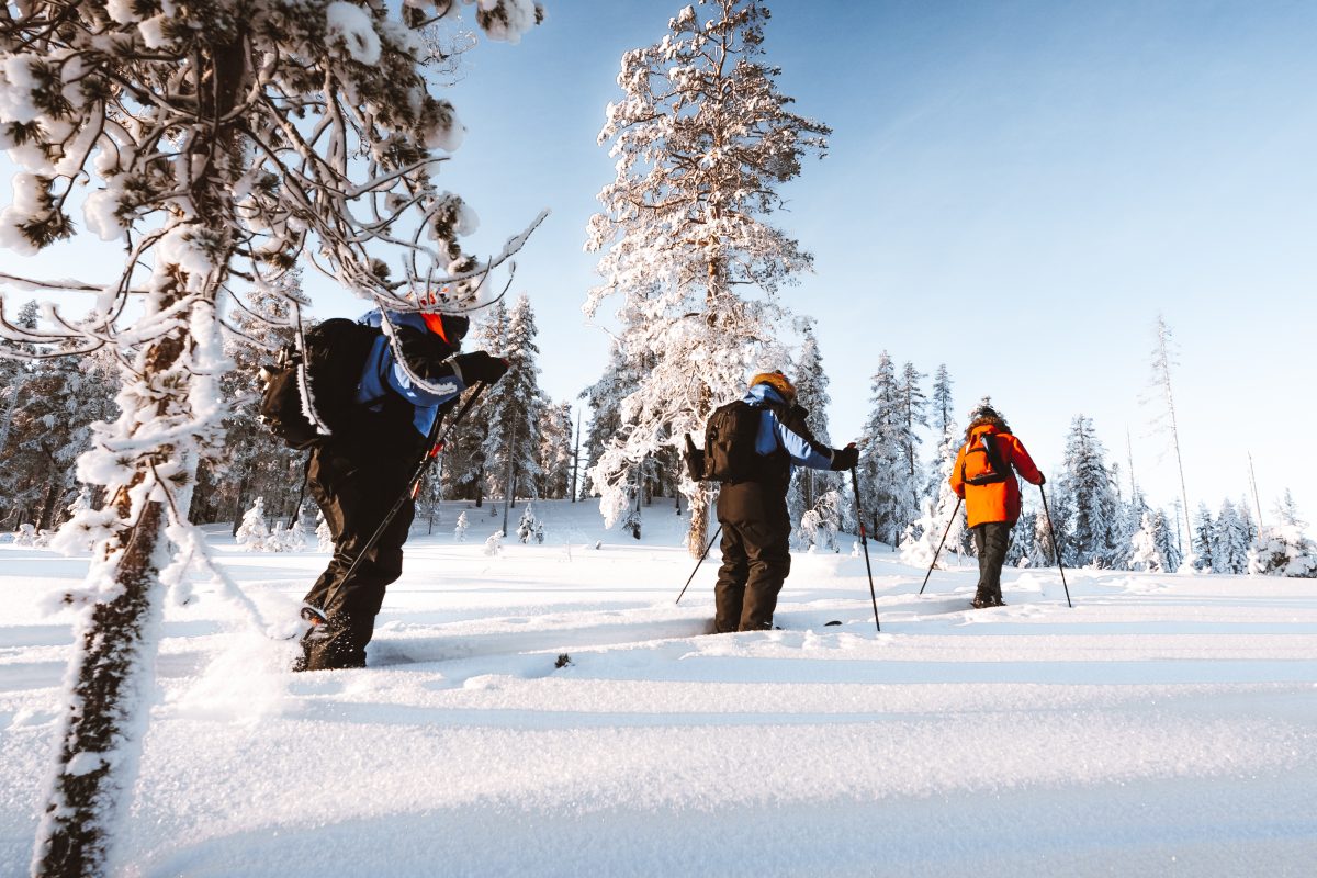 Ski Trekking in Rovaniemi Ski Trekking in Rovaniemi
