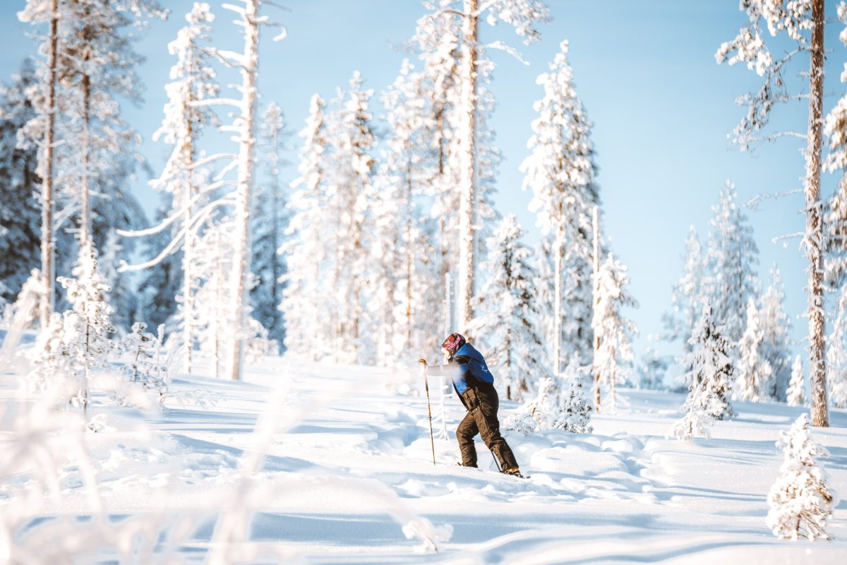 Skiing in Arctic wilderness Skiing in Arctic wilderness