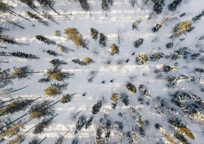 Exploring the hidden beauties of Finnish Lapland