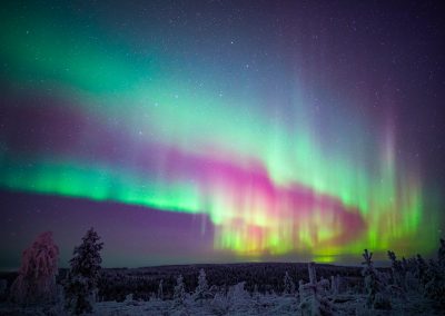 Northern Lights in Rovaniemi