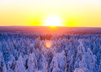 Stunning views of the snowy Taiga forest