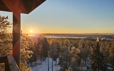 Internship at Wild About Lapland: Exploring the Beauty of Ounasvaara