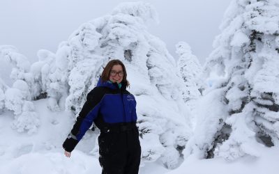 My Adventure in Lapland: A Foreign Internship to Never Forget!