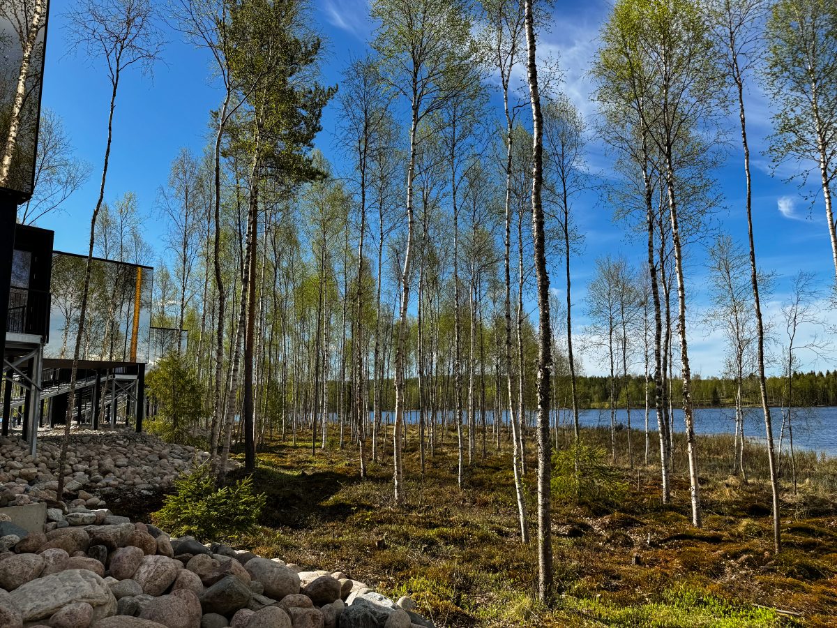 Silver Birch Resort in summer