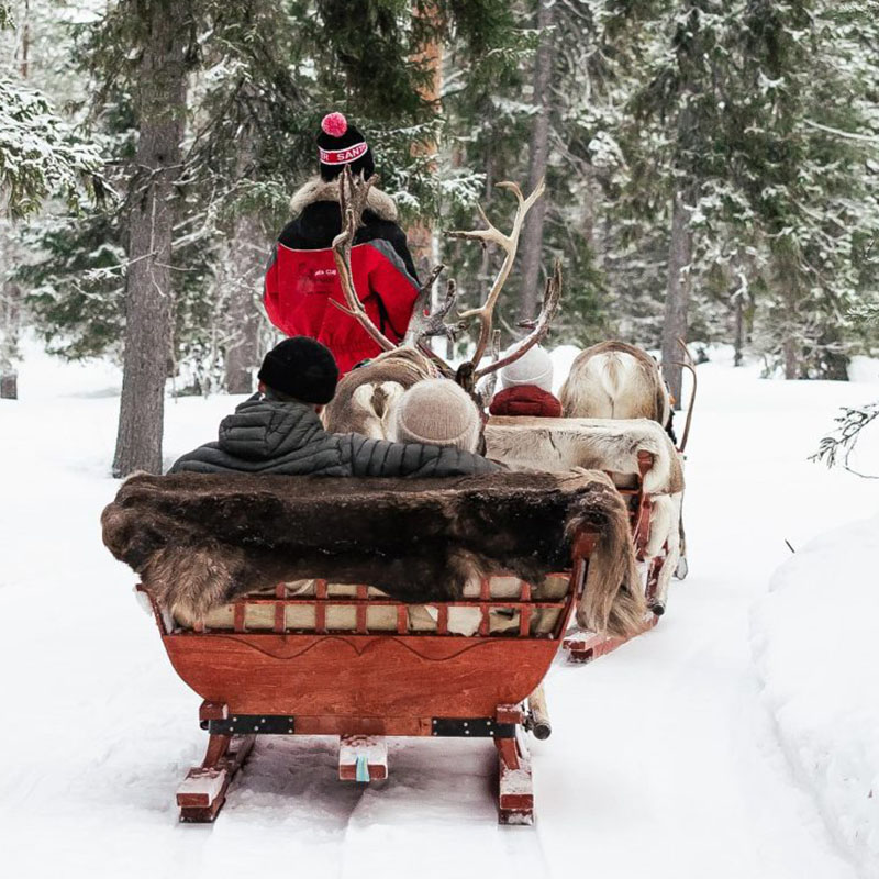Wild About Lapland Family Friendly Tours in Lapland. Riding in the reindeer sleigh through snowy landscapes in the arctic