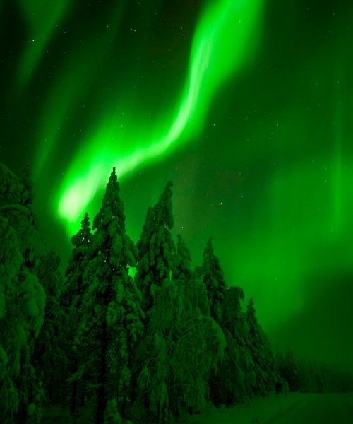 Northern Lights Hunting Adventure Trail of Tails - 5 km Husky Adventure