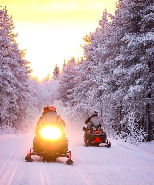 Short Snowmobile Safari Short Snowmobile Safari