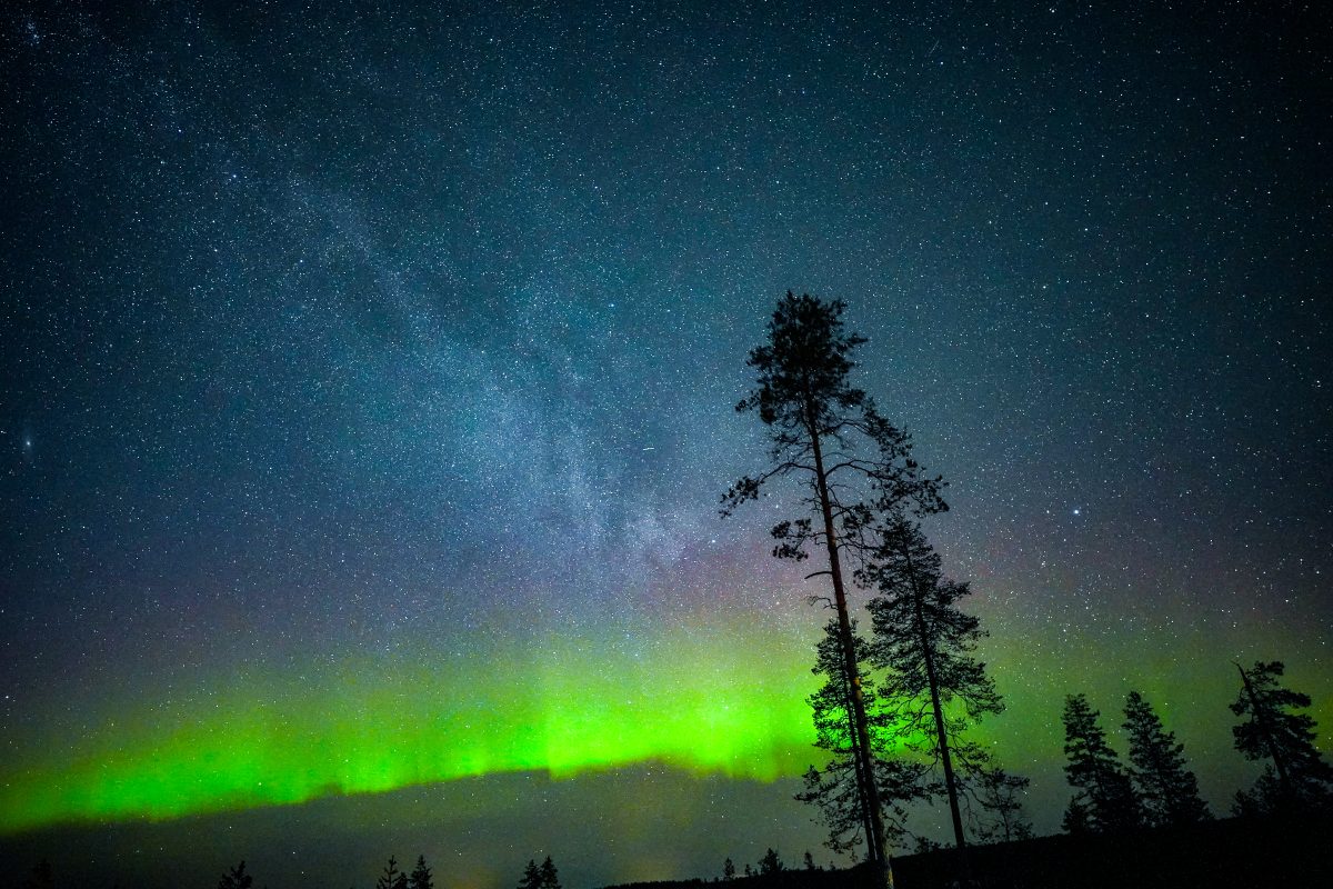 Aurora Hunting Lapland