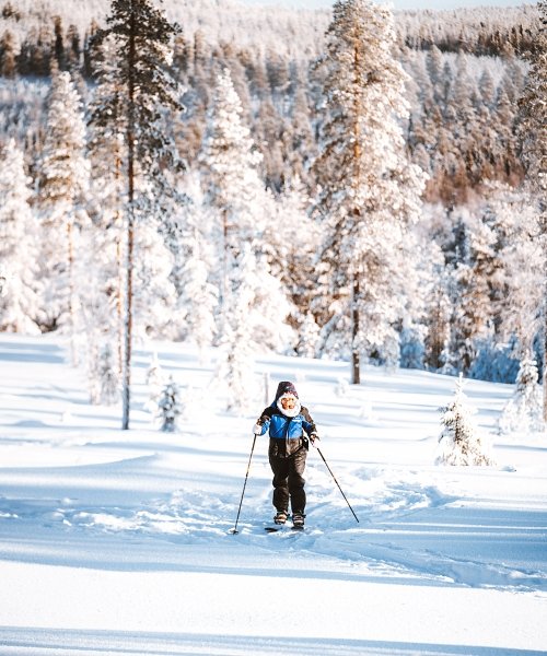 Ski Trekking Tour in Rovaniemi Ski Trekking Tour in Rovaniemi