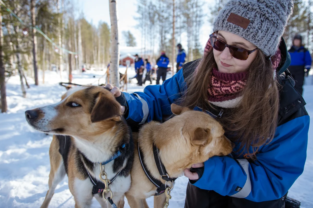 Wild Run – 5 km Husky Safari in Rovaniemi