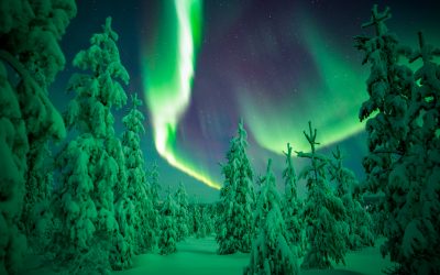 Which Northern Lights Tour in Rovaniemi Do We Recommend?